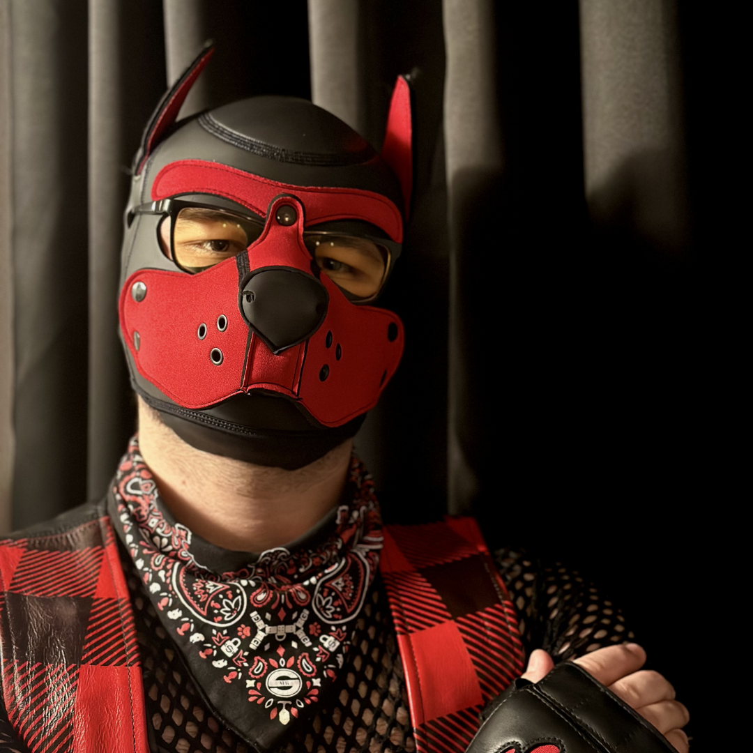 Pup Pyxis